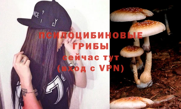 jwh Алзамай